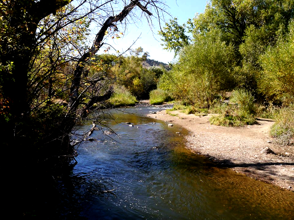 52 Weeks Photo Challenge: Week 22:&nbsp;Nature