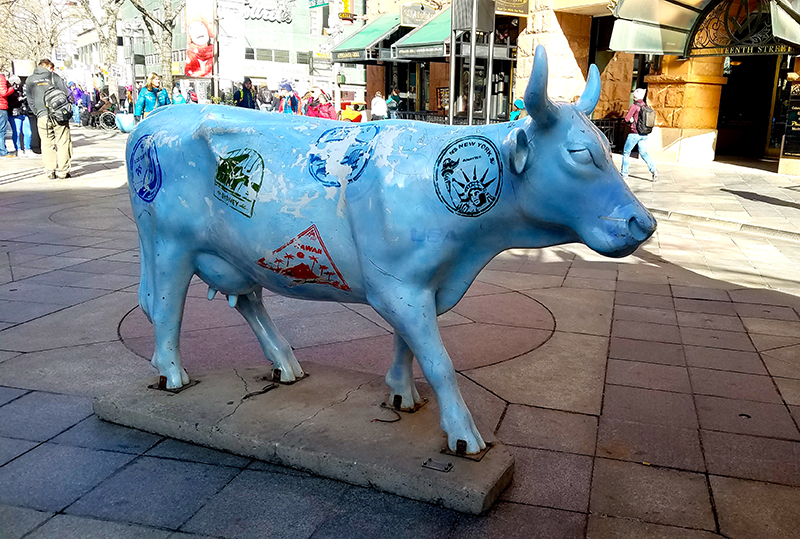 bluecow20170121_105146-800