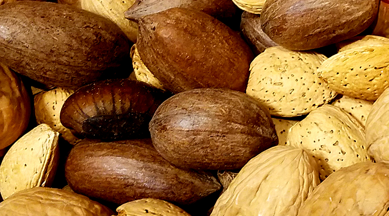 Mixed Nuts