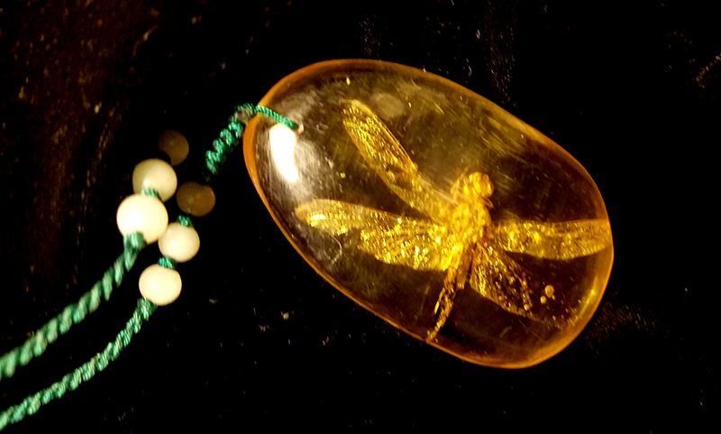 dragonflyinamber20170110_195450-1-800