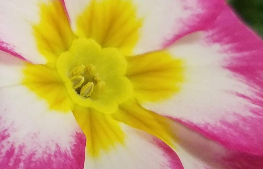 Macro Moments Challenge: Week&nbsp;27