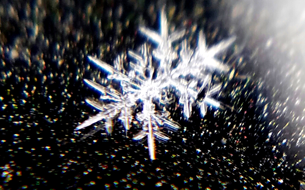 Macrolens-snowflake-20170104_143513.jpg