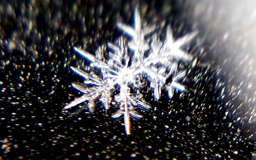 It starts with&nbsp;one…