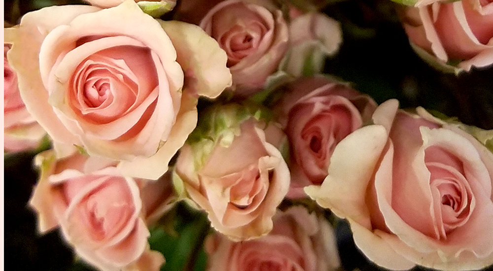 Color Your World –&nbsp;Melon