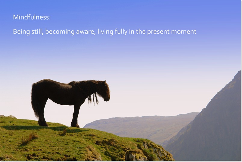 Being still, being aware