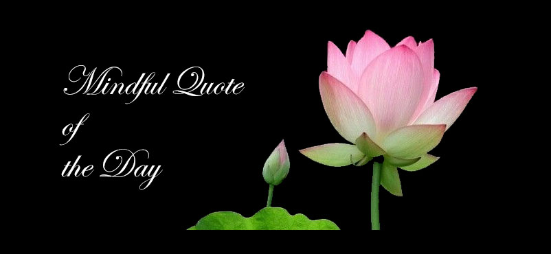 Mindful Quote of the Day&nbsp;#23
