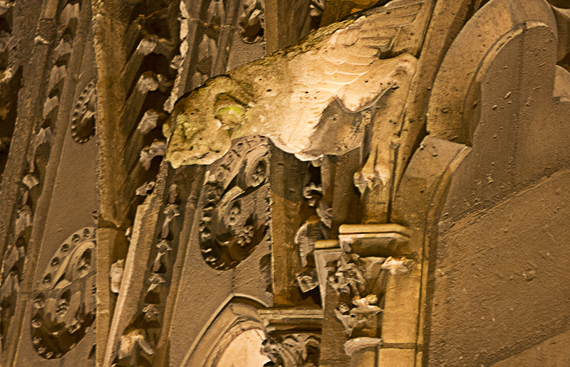 Gargoyles of Notre Dame
