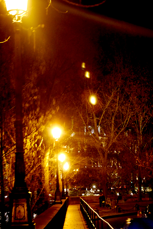 Paris Stroll at Night