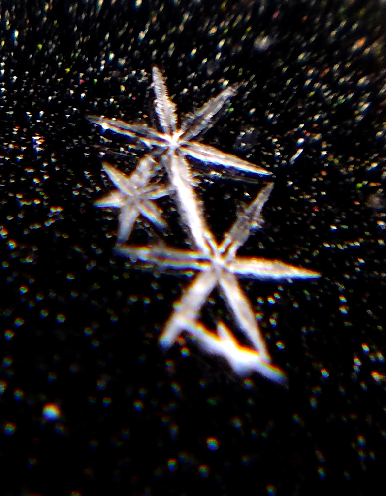 Tis the season for&nbsp;Snowflakes