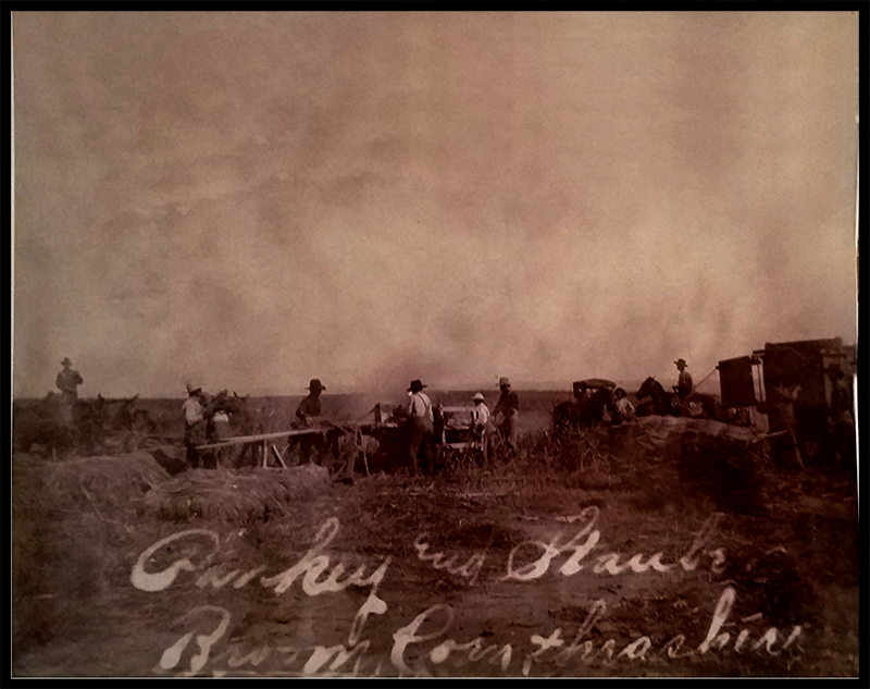 Stauber Family History- the Thrasher