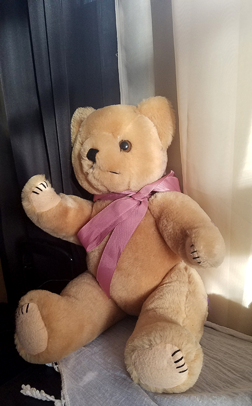 Quiet Teddy Bear&nbsp;Morning