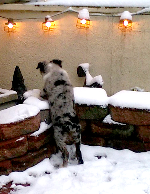 unseen-2015-12-12-15-54-11