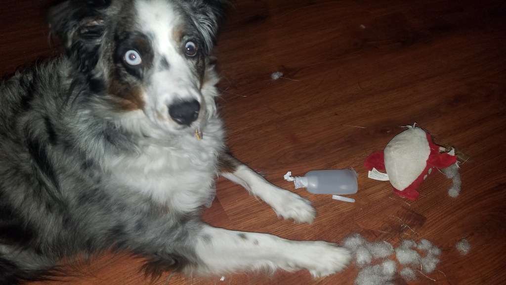 Oberon the Destroyer