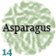 14-asparagus