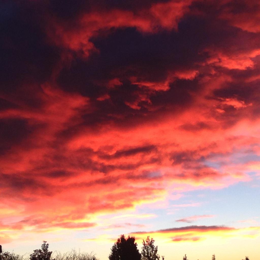 52 Weeks Photo Challenge Week 29-Beautiful Colors