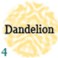 4-dandelion