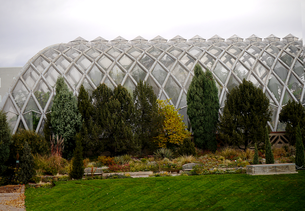 dbg2015-11-01-10-52-12-1000