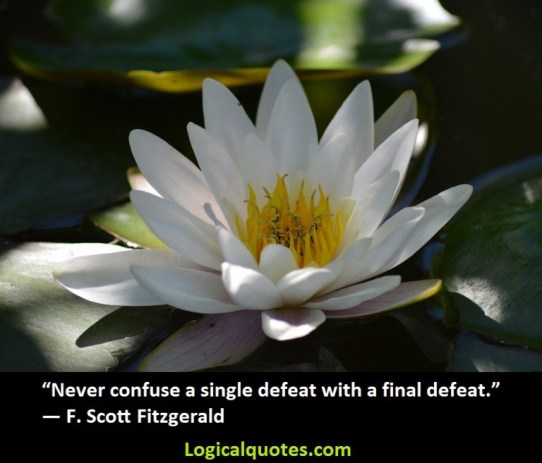 Never confuse a single defeat with a final defeat.F. Scott Fitzgerald