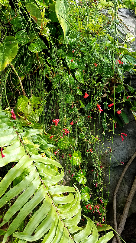 Color Your World – Jungle&nbsp;Green