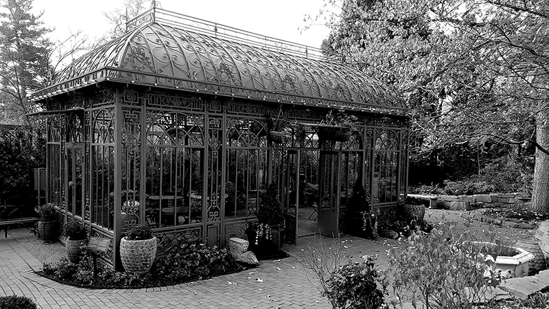 greenhouse-monochrome-20161105_100218-800