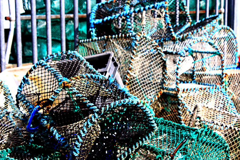 Lobster Traps
