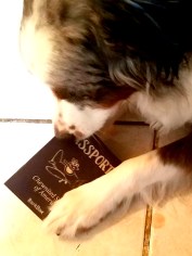 oberonspassport-20170216_081140