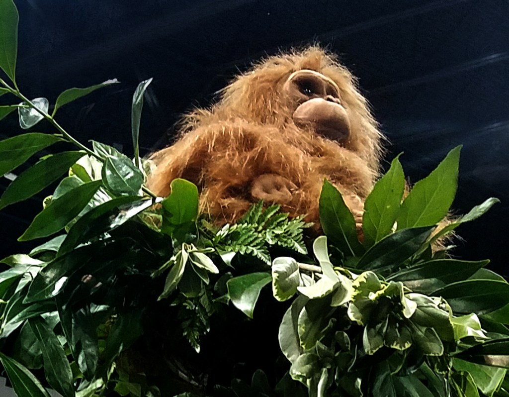 One Little Monkey Sitting in a&nbsp;Tree