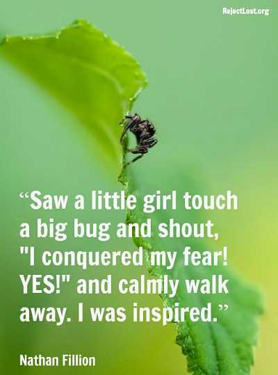 Saw a little girl touch a big bug and shout 