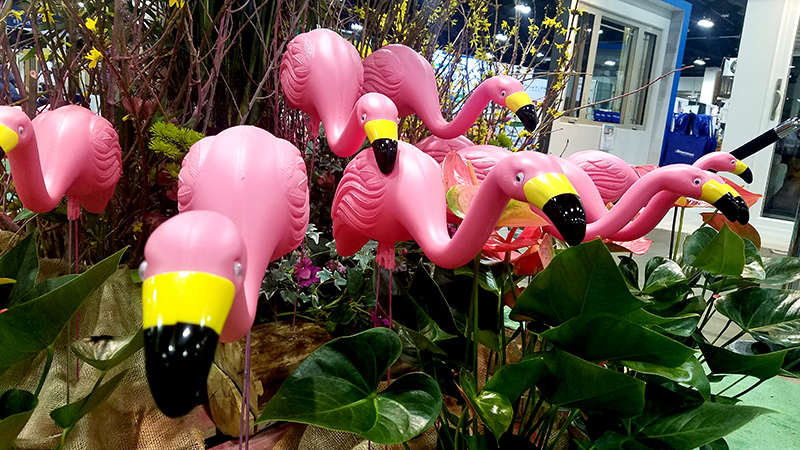 Cee’s Odd Ball Photo Challenge: February 19, 2017