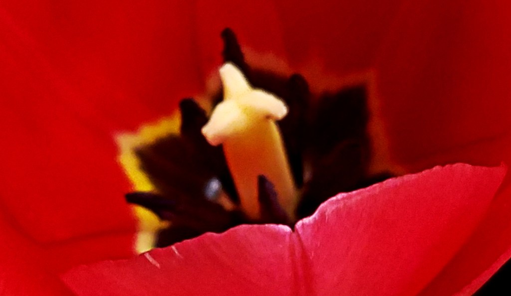 Macro Moments Challenge: Week&nbsp;29