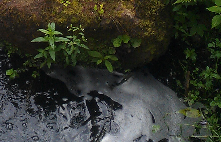 scotlandserenity-imag0504