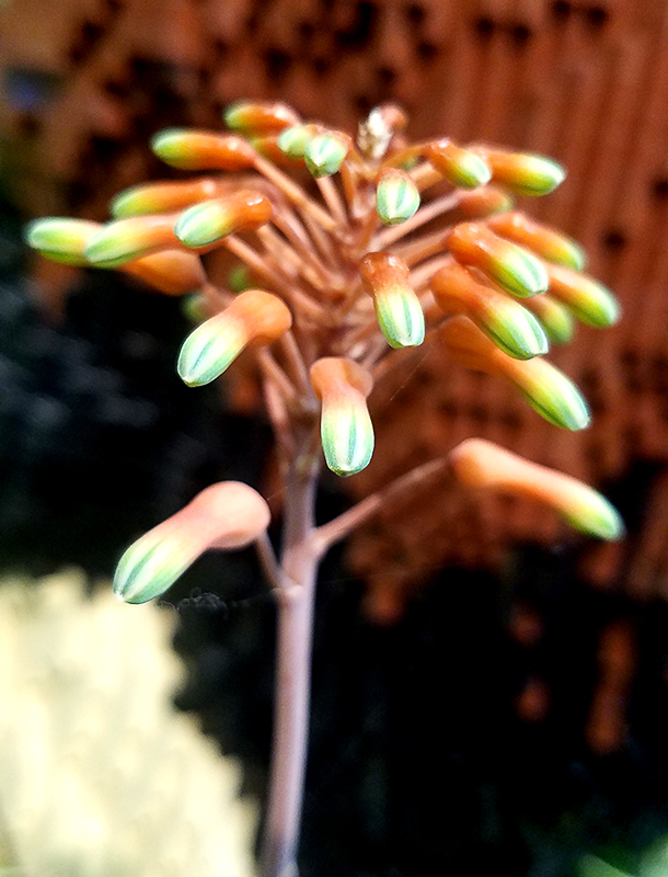 Color Your World – Screamin’&nbsp;Green