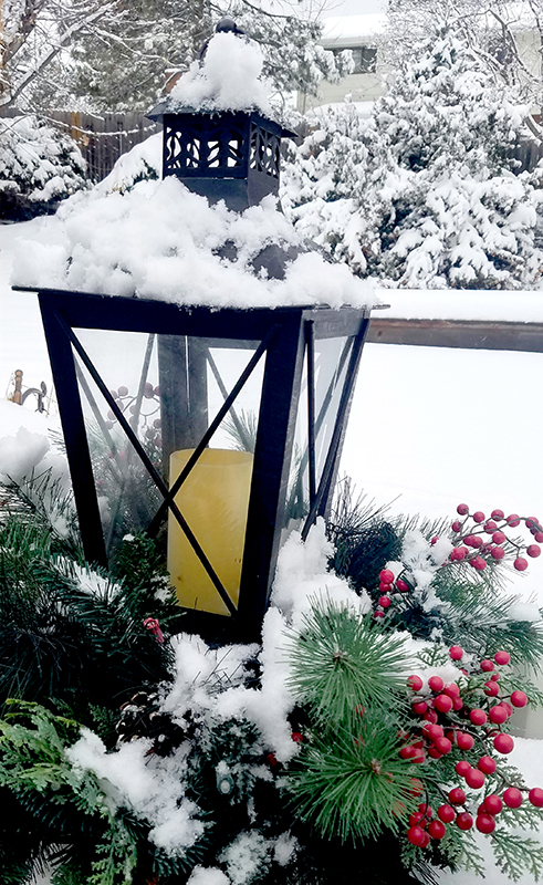 snowylantern20170116_125549-800