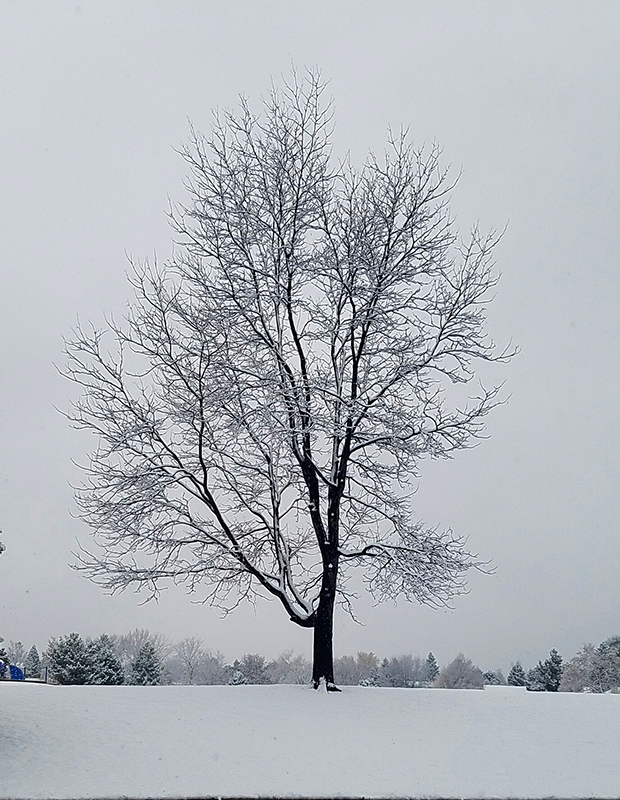 Photo Challenge-Solitude