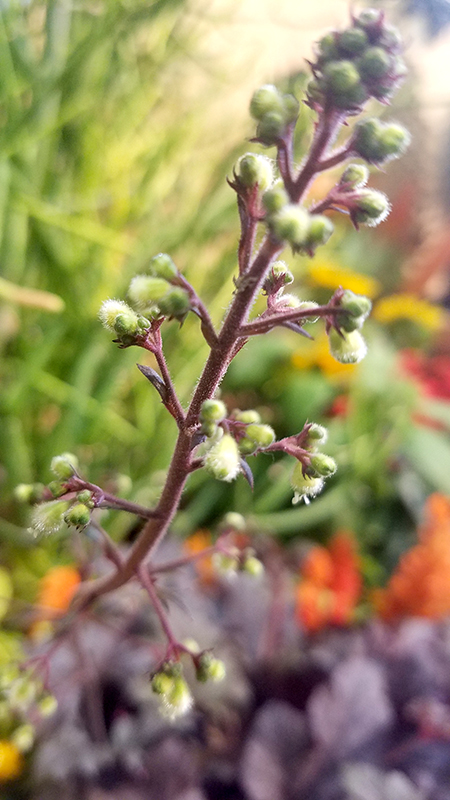 Color Your World – Spring&nbsp;Green