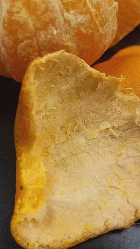 textureoftangerine20170222_081831-800