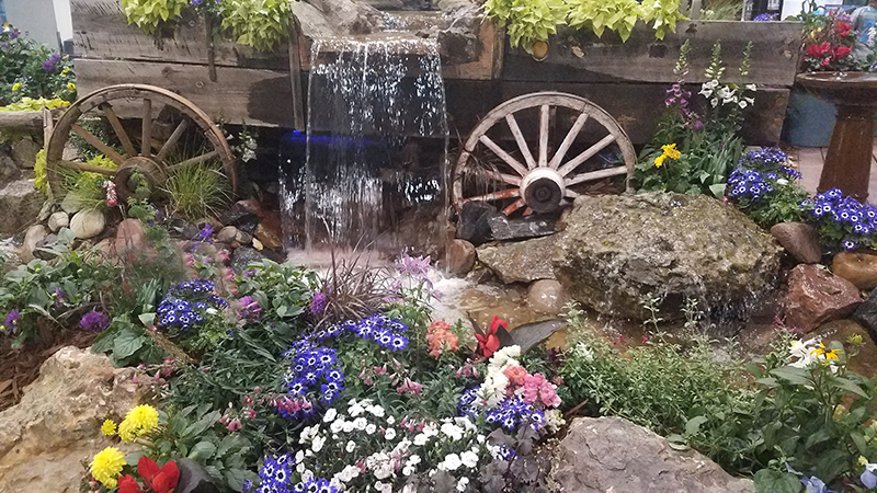 Weekly Water Signs&nbsp;#1