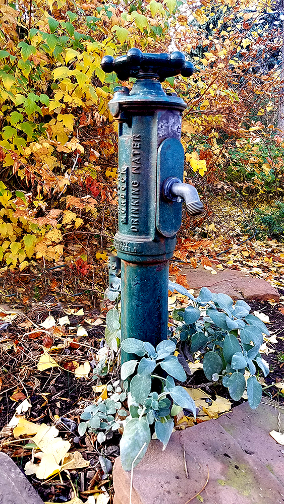 Mundane Monday Challenge