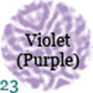 023-violetpurple
