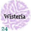 024-wisteria