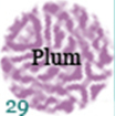 029-plum