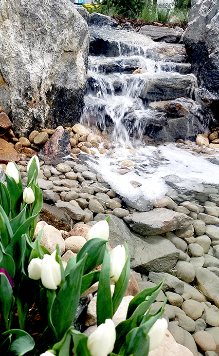 Weekly Water Signs&nbsp;#3