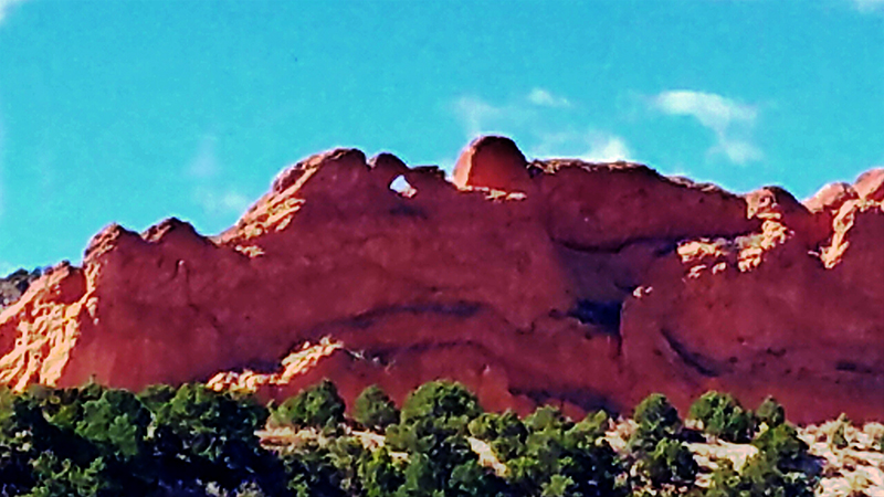 kissingcamels-800-20161029_201807