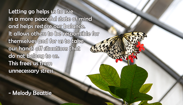 lettinggo-2016-09-20_09-52-00-640