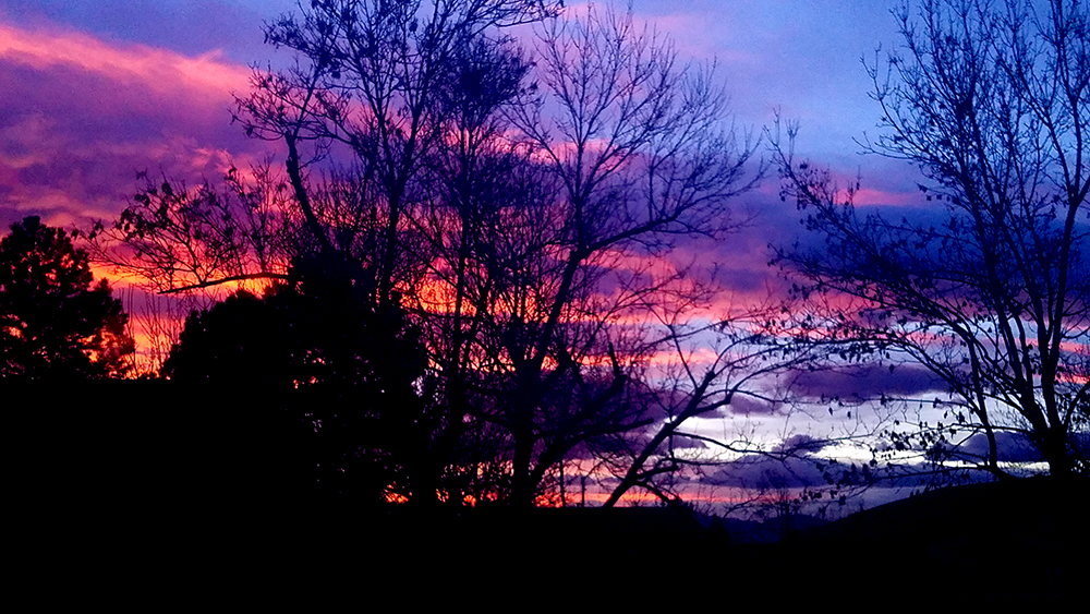 Color Your World –Purple&nbsp;Pizzazz