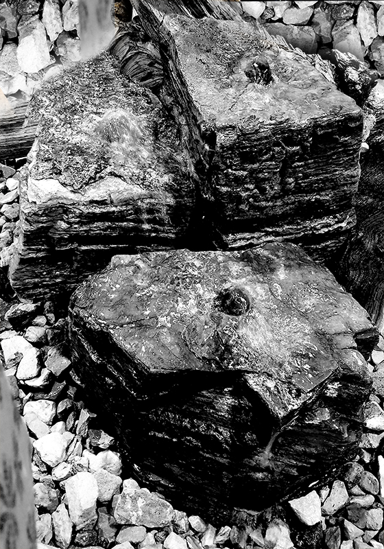 Cee’s Black & White Photo&nbsp;Challenge