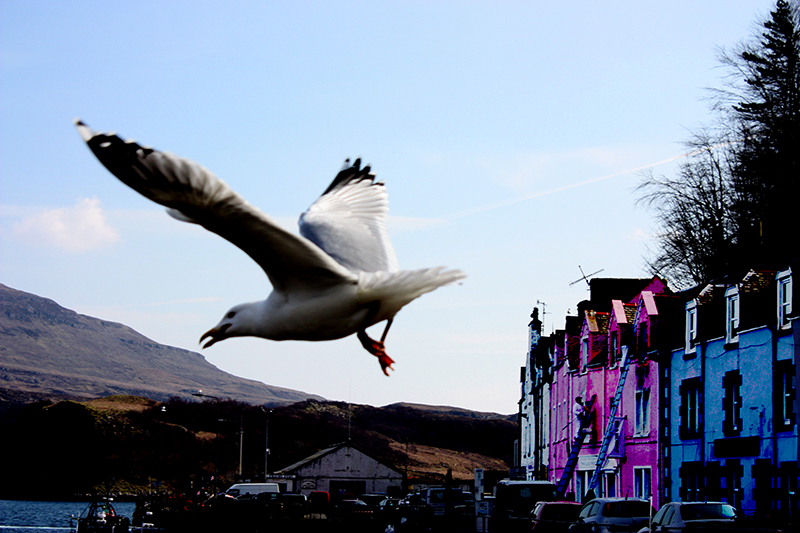 skyebluebuildings20090403_72-800