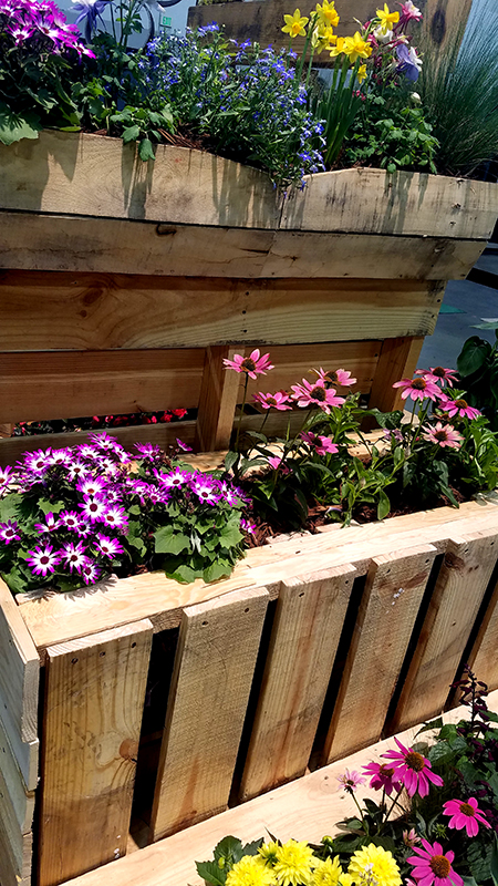 Tuesdays of Texture-Week&nbsp;10