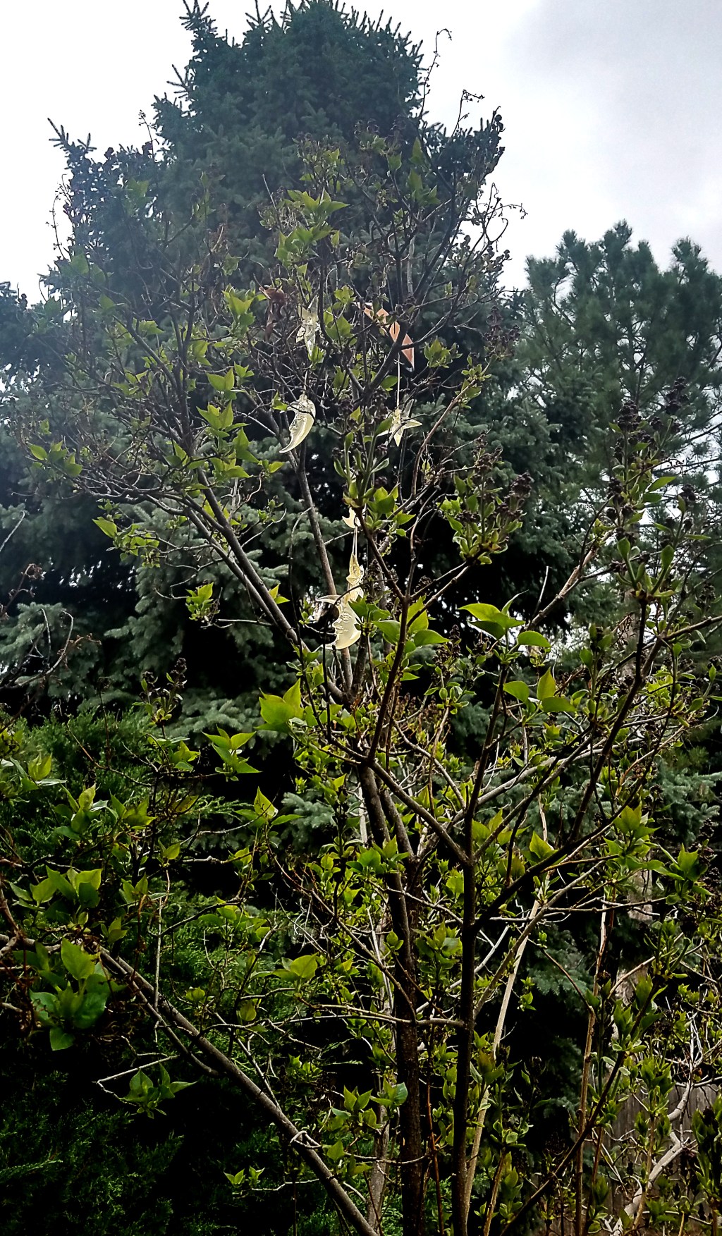 When you’re too&nbsp;short