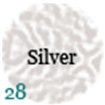 028-silver